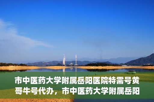市中医药大学附属岳阳医院特需号黄哥牛号代办，市中医药大学附属岳阳医院特需号名医黄哥牛号预约代办服务