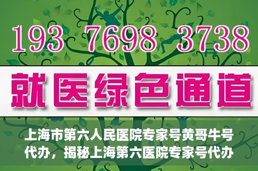 上海市第六人民医院专家号黄哥牛号代办，揭秘上海第六医院专家号代办背后的故事，黄哥牛号代办真相揭秘