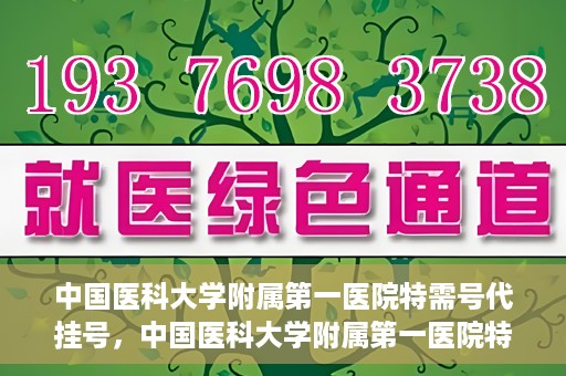 中国医科大学附属第一医院特需号代挂号，中国医科大学附属第一医院特需号源代挂号服务解析