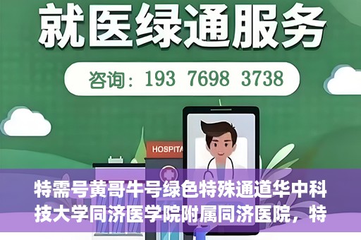 特需号黄哥牛号绿色特殊通道华中科技大学同济医学院附属同济医院，特需号黄哥牛号背后的绿色特殊通道，华中科技大学同济医学院附属同济医院的探索与实践