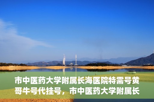 市中医药大学附属长海医院特需号黄哥牛号代挂号，市中医药大学附属长海医院特需号黄哥牛号挂号攻略，专业代挂号服务解析