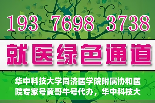 华中科技大学同济医学院附属协和医院专家号黄哥牛号代办，华中科技大学同济医学院附属协和医院专家号代办揭秘，黄哥牛号助您轻松预约专家号