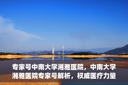 专家号中南大学湘雅医院，中南大学湘雅医院专家号解析，权威医疗力量的深度解读