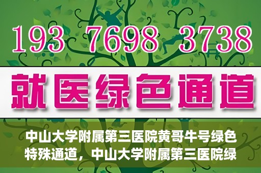 中山大学附属第三医院黄哥牛号绿色特殊通道，中山大学附属第三医院绿色特殊通道，黄哥牛号引领医疗创新之路
