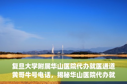 复旦大学附属华山医院代办就医通道黄哥牛号电话，揭秘华山医院代办就医通道，黄哥牛号电话背后的故事