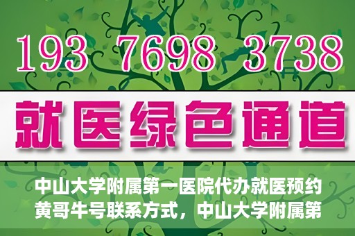中山大学附属第一医院代办就医预约黄哥牛号联系方式，中山大学附属第一医院预约就医预约联系方式揭秘，黄哥牛号助您轻松挂号就医