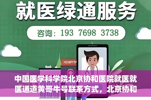 中国医学科学院北京协和医院就医就医通道黄哥牛号联系方式，北京协和医院就医通道解析，黄哥牛号联系方式揭秘