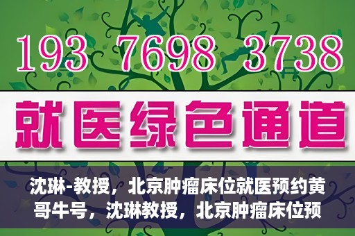 沈琳-教授，北京肿瘤床位就医预约黄哥牛号，沈琳教授，北京肿瘤床位预约秘籍揭秘——黄哥牛号引领就医新风尚