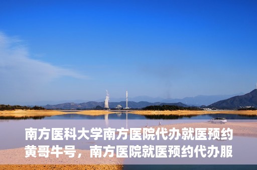 南方医科大学南方医院代办就医预约黄哥牛号，南方医院就医预约代办服务背后的故事，黄哥牛号引领便捷就医新风尚