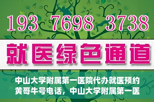 中山大学附属第一医院代办就医预约黄哥牛号电话，中山大学附属第一医院预约就医助手黄哥牛联系方式揭秘