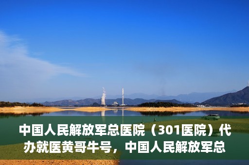 中国人民解放军总医院（301医院）代办就医黄哥牛号，中国人民解放军总医院（301医院）黄哥就医助手号详解