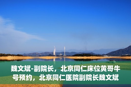 魏文斌-副院长，北京同仁床位黄哥牛号预约，北京同仁医院副院长魏文斌揭秘床位预约秘籍——黄哥牛号预约攻略