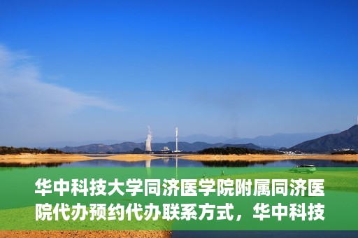 华中科技大学同济医学院附属同济医院代办预约代办联系方式，华中科技大学同济医学院附属同济医院预约代办联系方式全解析