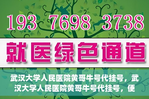 武汉大学人民医院黄哥牛号代挂号，武汉大学人民医院黄哥牛号代挂号，便捷就医背后的故事