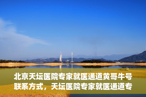 北京天坛医院专家就医通道黄哥牛号联系方式，天坛医院专家就医通道专家联系方式揭秘，黄哥牛号就医指南