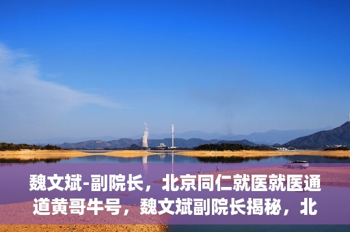 魏文斌-副院长，北京同仁就医就医通道黄哥牛号，魏文斌副院长揭秘，北京同仁就医通道黄哥牛号背后的故事
