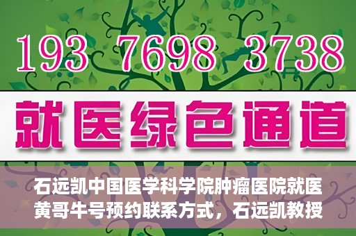 石远凯中国医学科学院肿瘤医院就医黄哥牛号预约联系方式，石远凯教授，中国医学科学院肿瘤医院就医攻略及黄哥牛号预约联系方式揭秘
