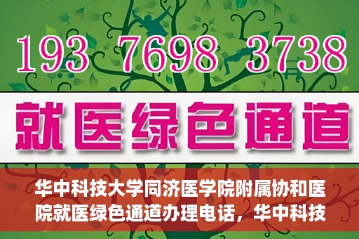 华中科技大学同济医学院附属协和医院就医绿色通道办理电话，华中科技大学同济医学院附属协和医院就医绿色通道咨询热线