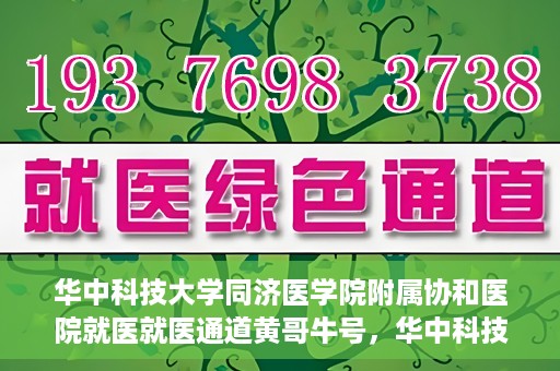 华中科技大学同济医学院附属协和医院就医就医通道黄哥牛号，华中科技大学同济医学院附属协和医院就医通道详解，黄哥牛号引领就医新体验