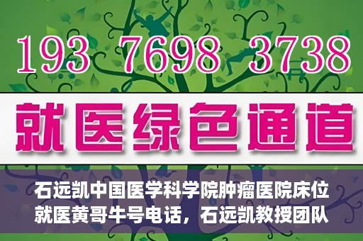 石远凯中国医学科学院肿瘤医院床位就医黄哥牛号电话，石远凯教授团队就医攻略，中国医学科学院肿瘤医院床位预约与黄哥牛号联系电话揭秘