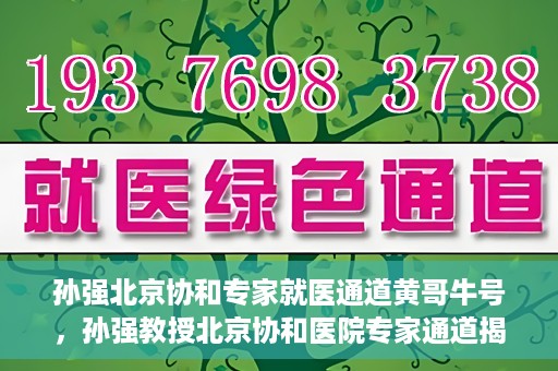 孙强北京协和专家就医通道黄哥牛号，孙强教授北京协和医院专家通道揭秘，黄哥牛号背后的就医故事