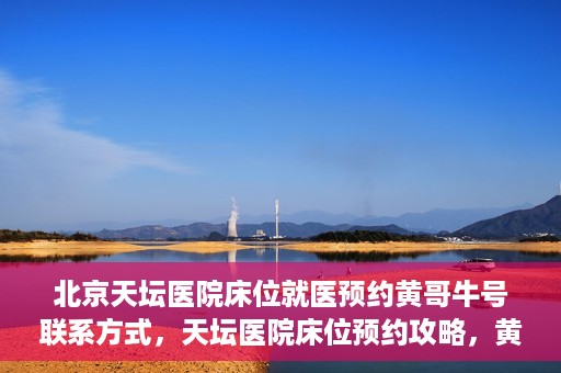 北京天坛医院床位就医预约黄哥牛号联系方式，天坛医院床位预约攻略，黄哥牛号联系方式揭秘