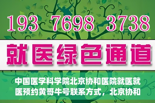 中国医学科学院北京协和医院就医就医预约黄哥牛号联系方式，北京协和医院就医预约指南，黄哥牛号联系方式全解析