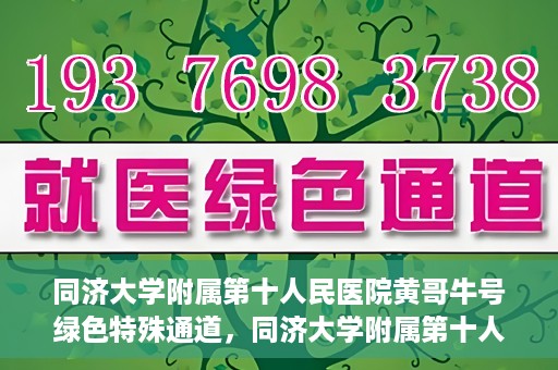 同济大学附属第十人民医院黄哥牛号绿色特殊通道，同济大学附属第十人民医院黄哥牛号，绿色特殊通道开启健康之门