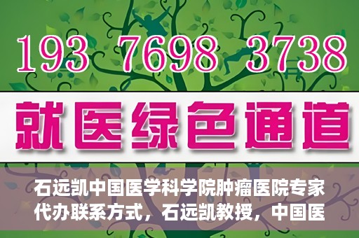 石远凯中国医学科学院肿瘤医院专家代办联系方式，石远凯教授，中国医学科学院肿瘤医院专家联系方式及预约代办指南