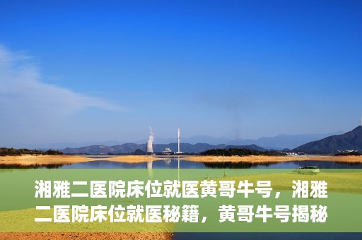 湘雅二医院床位就医黄哥牛号，湘雅二医院床位就医秘籍，黄哥牛号揭秘就医之路