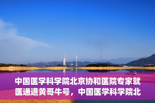 中国医学科学院北京协和医院专家就医通道黄哥牛号，中国医学科学院北京协和医院专家就医绿色通道解析——黄哥牛号揭秘