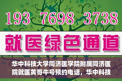华中科技大学同济医学院附属同济医院就医黄哥牛号预约电话，华中科技大学同济医院就医黄哥牛号预约热线解析