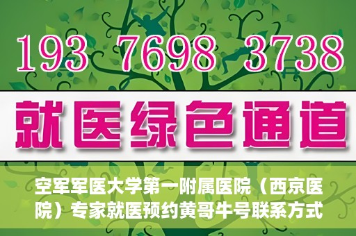 空军军医大学第一附属医院（西京医院）专家就医预约黄哥牛号联系方式，空军军医大学第一附属医院黄哥牛号专家预约联系方式揭秘