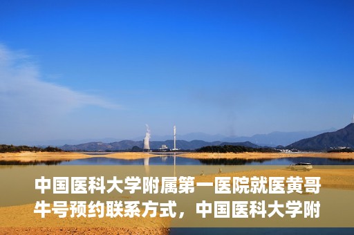 中国医科大学附属第一医院就医黄哥牛号预约联系方式，中国医科大学附属第一医院黄哥牛号预约挂号联系方式详解