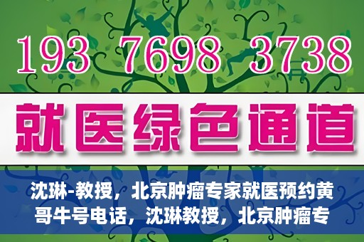 沈琳-教授，北京肿瘤专家就医预约黄哥牛号电话，沈琳教授，北京肿瘤专家预约热线，黄哥牛号电话直达就医通道