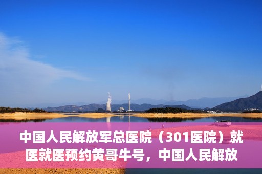 中国人民解放军总医院（301医院）就医就医预约黄哥牛号，中国人民解放军总医院（301医院）黄哥牛号就医预约攻略