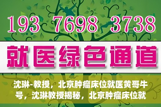 沈琳-教授，北京肿瘤床位就医黄哥牛号，沈琳教授揭秘，北京肿瘤床位就医攻略——黄哥牛号引领健康之路