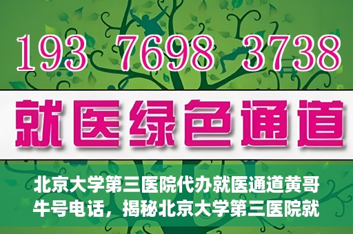 北京大学第三医院代办就医通道黄哥牛号电话，揭秘北京大学第三医院就医代办通道背后的黄哥牛号电话秘密