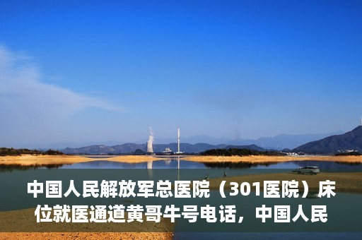 中国人民解放军总医院（301医院）床位就医通道黄哥牛号电话，中国人民解放军总医院（301医院）床位预约就医通道详解，黄哥牛号电话与预约指南