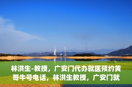 林洪生-教授，广安门代办就医预约黄哥牛号电话，林洪生教授，广安门就医预约背后的故事，黄哥牛号电话揭秘