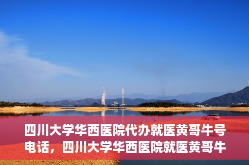 四川大学华西医院代办就医黄哥牛号电话，四川大学华西医院就医黄哥牛号代办服务电话揭秘