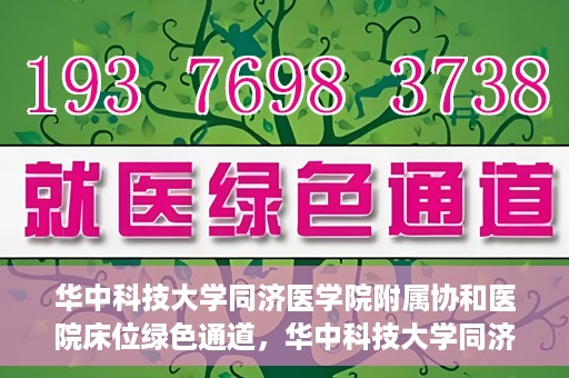 华中科技大学同济医学院附属协和医院床位绿色通道，华中科技大学同济医学院附属协和医院床位绿色通道解析与解读