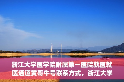 浙江大学医学院附属第一医院就医就医通道黄哥牛号联系方式，浙江大学医学院附属第一医院就医通道详解，黄哥牛号联系方式全攻略