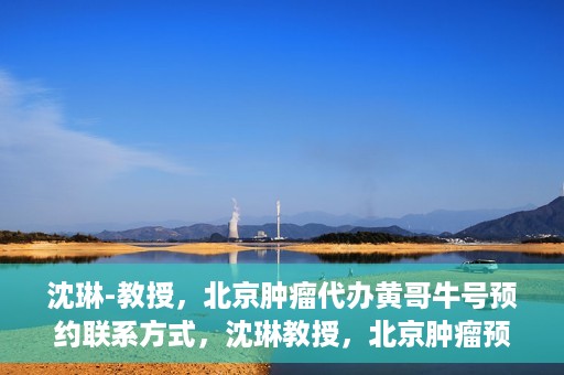沈琳-教授，北京肿瘤代办黄哥牛号预约联系方式，沈琳教授，北京肿瘤预约联系方式及黄哥牛号预约解析