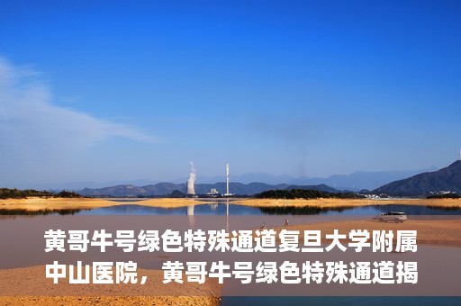 黄哥牛号绿色特殊通道复旦大学附属中山医院，黄哥牛号绿色特殊通道揭秘，复旦大学附属中山医院的独特之处