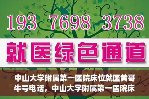 中山大学附属第一医院床位就医黄哥牛号电话，中山大学附属第一医院床位预约就医攻略，黄哥牛号电话全解析