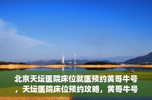 北京天坛医院床位就医预约黄哥牛号，天坛医院床位预约攻略，黄哥牛号助您轻松就医