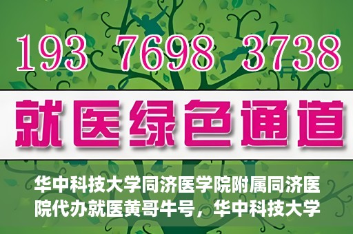 华中科技大学同济医学院附属同济医院代办就医黄哥牛号，华中科技大学同济医院就医黄哥牛号代办服务解析