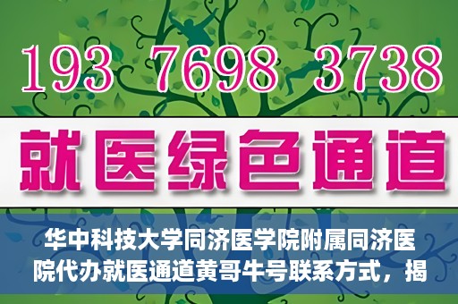 华中科技大学同济医学院附属同济医院代办就医通道黄哥牛号联系方式，揭秘黄哥牛号，同济医院就医通道代办联系方式与操作指南