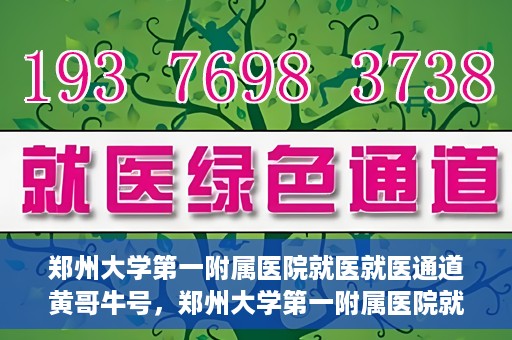 郑州大学第一附属医院就医就医通道黄哥牛号，郑州大学第一附属医院就医通道解析，黄哥牛号的实践之路